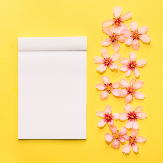 Download Mock up with spring flowers on a yellow background Photo | Free Download