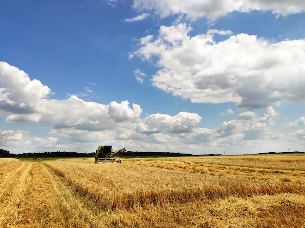 Premium Photo | Modern combine working on a wheat field, harvesting, on ...