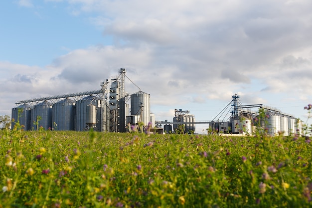 Premium Photo | Modern granary elevator and seed cleaning line.