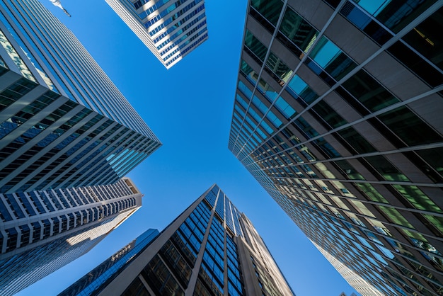 Modern office glasses buildings cityscape under blue clear sky in ...