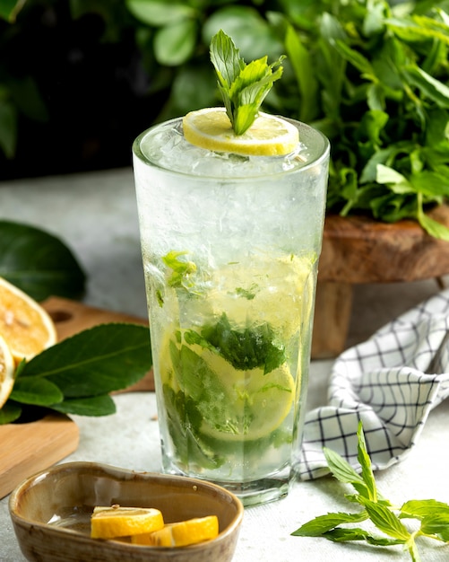 Free Photo | Mojito glass garnished with lemon slice and mint leaves