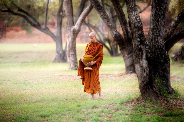 Premium Photo | Monks walking in the park, thai monk meditating under a ...