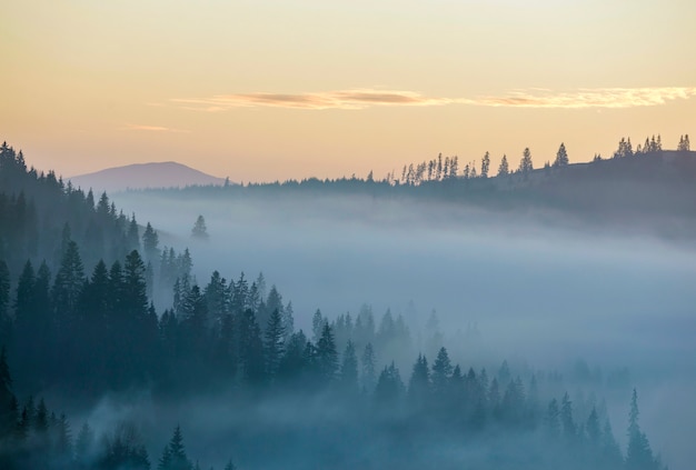 Premium Photo | Morning fog over mountain hills covered with dense ...