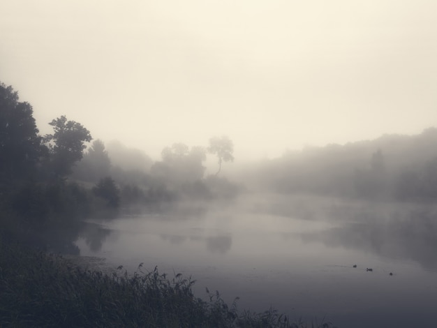 Premium Photo | Morning landscape with fog over the lake soft focus