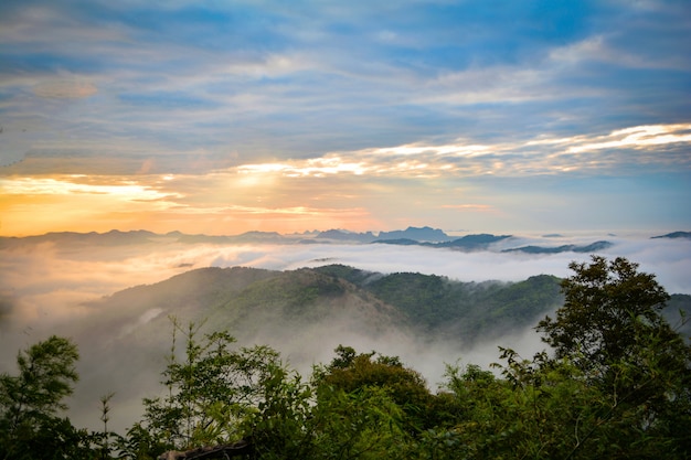 Premium Photo | Morning scene sunrise landscape morning with fog ...