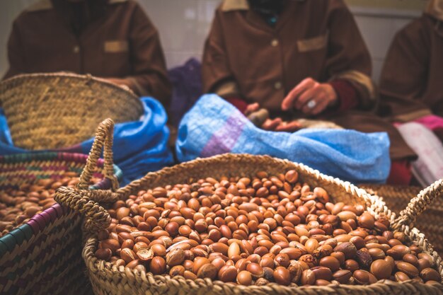Moroccan women working with argan seeds to extract argan oil. Premium Photo