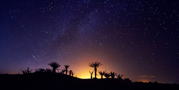 モロッコサハラ砂漠の星空夜空のオアシス プレミアム写真