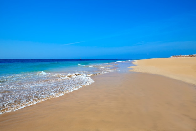 Premium Photo Morro Jable Matorral Beach Jandia In Fuerteventura