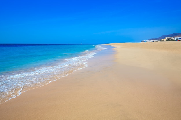 Premium Photo Morro Jable Matorral Beach Jandia In Fuerteventura