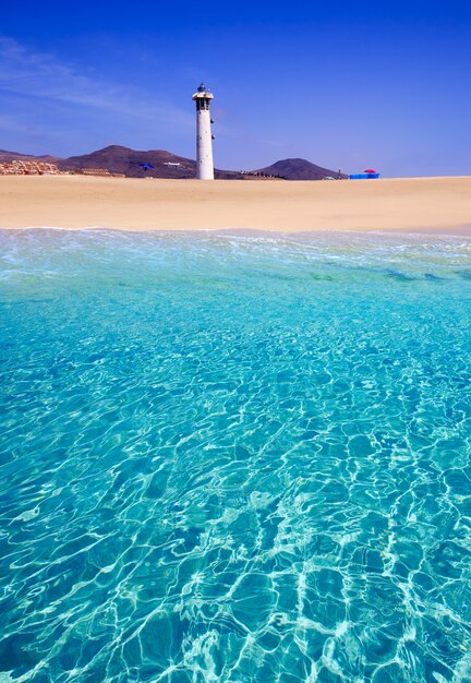 Premium Photo Morro Jable Matorral Beach Jandia In Fuerteventura