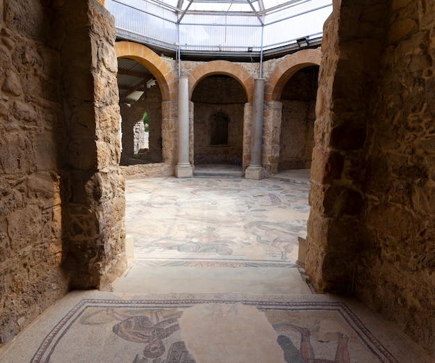 Premium Photo | Mosaics of frigidarium. villa romana del casale, piazza ...