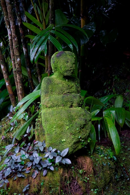 Premium Photo Moss Covered Statue In Bali