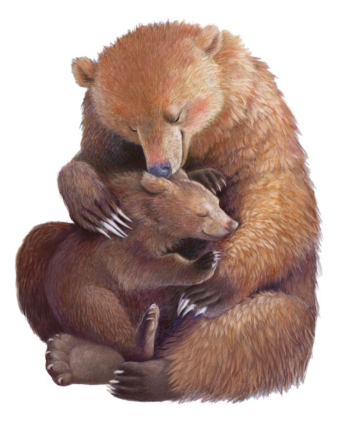 母熊は熊の子を抱きしめます リアルな色の手描き イラスト 母性 母の日 プレミアム写真