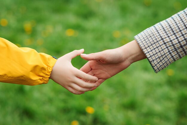Premium Photo Mother And Child Hands Reaching To Each Other Support Help And Trust Parent Holds The Hand Of A Child On A Walk Kid And Mother Hands On Nature Background