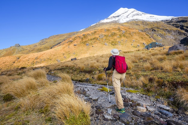 Premium Photo | Mount Taranaki / Mount Egmont In Egmont National Park ...