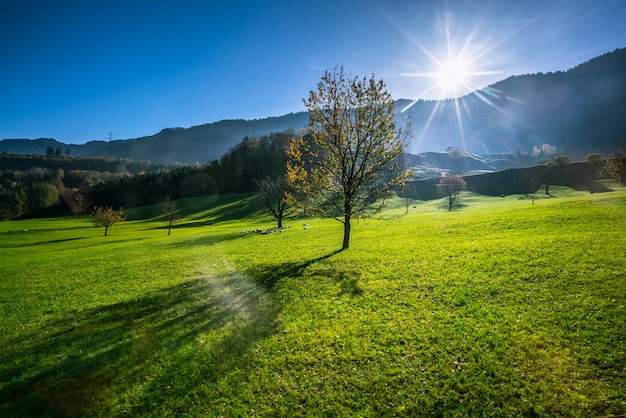 Premium Photo | Mountain against sky with grass field in sumer