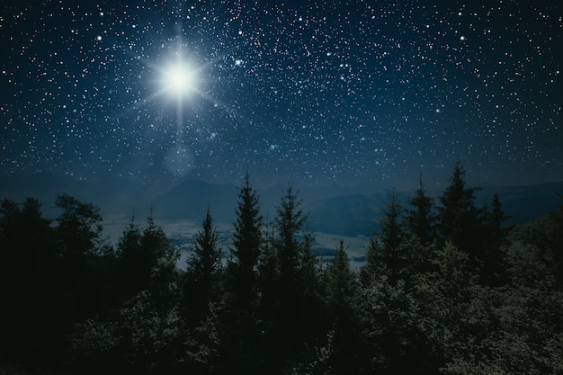 Premium Photo | Mountain forest at night, sky with stars