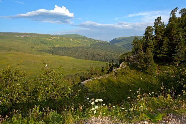 Горное настроение лагонаки фото