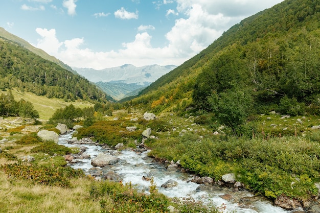 山の風景 山 森 川が目の前にある風景 美しい風景 プレミアム写真