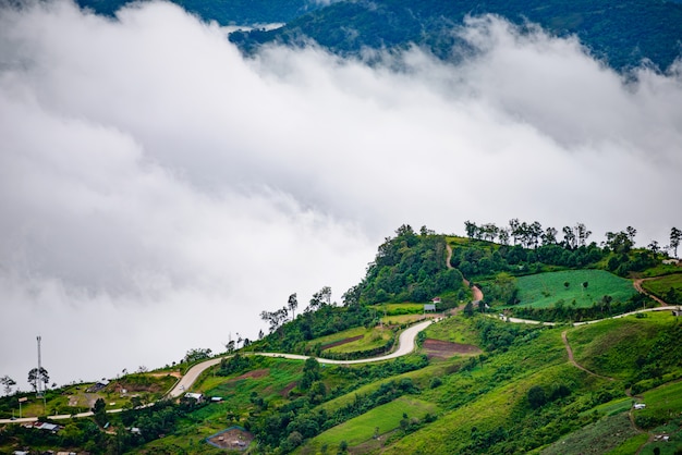 Premium Photo | Mountain road at ( phu tubberk) in phu hin rong kla ...