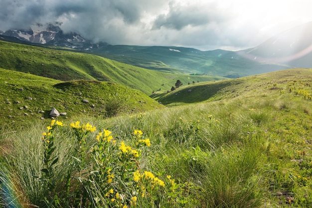 Premium Photo | Mountain valleys and alpine meadows of lagonaki ...