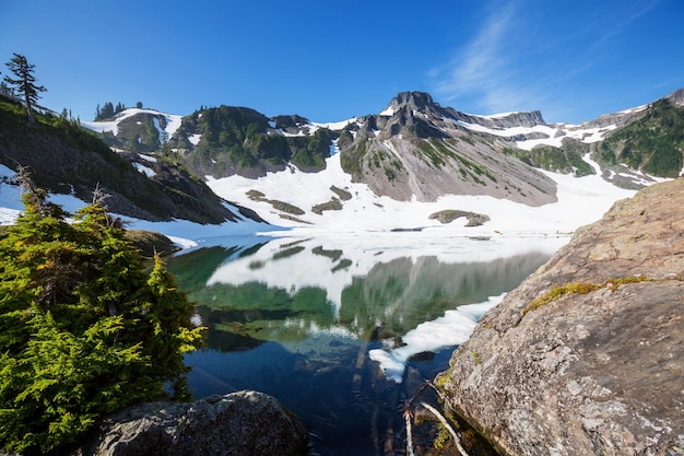 Premium Photo | Mt. baker recreation area, washington, usa