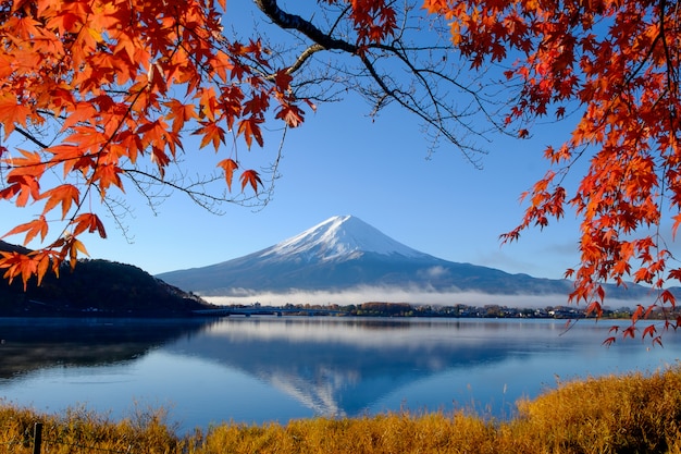 Premium Photo | Mt.fuji and autumn foliage at lake kawaguchi