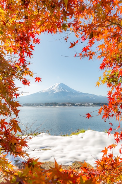 Premium Photo | Mt. fuji in autumn