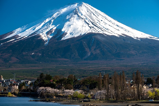 Premium Photo | Mt. fuji at kawaguchiko fujiyoshida, japan.