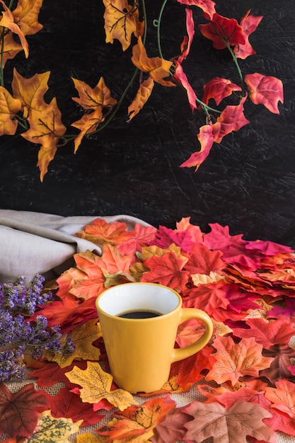 Image%20result%20for%20beautiful%20cup%20of%20coffe%20in%20autumn