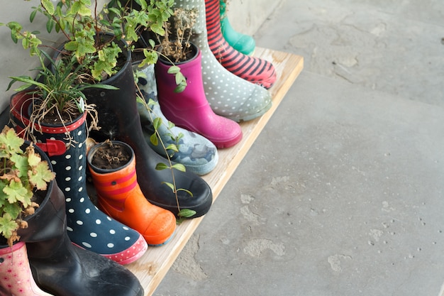 blooming rubber boots
