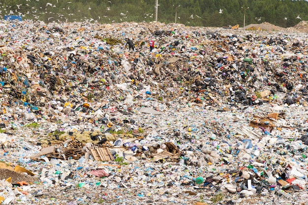 Municipal landfill for domestic waste Premium Photo