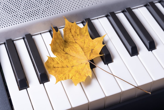 Premium Photo | Musical piano keys and autumn leaves