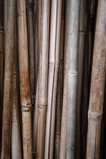 Premium Photo | Natural background with lots of bamboo sticks. the