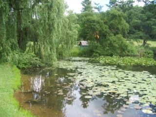 Natural Beauty Of Hidden Lake Gardens Summer Free Photo