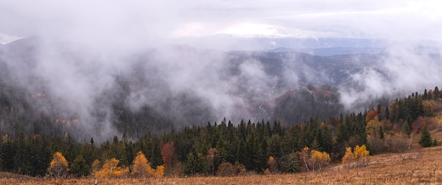 Premium Photo Natural Gloomy Background Of Autumn Mountains With Yellow Trees And Fir Trees On A Cloudy Day With Clouds In The Sky And Fog Banner Wallpaper