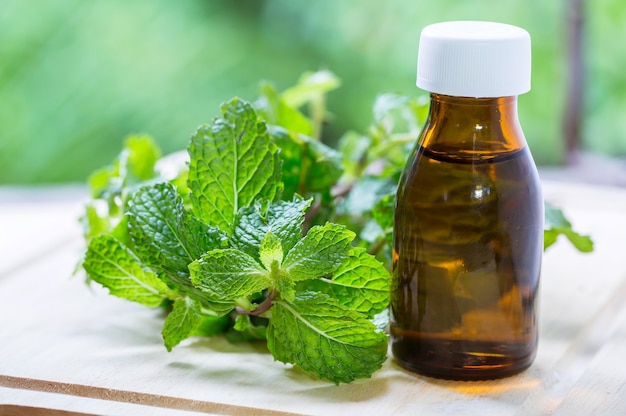 Natural Mint Essential Oil in a Glass Bottle with Fresh Mint Leaves Premium Photo