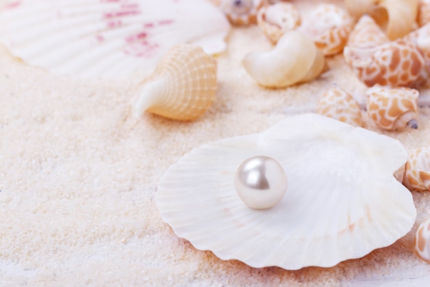 Natural pearl in a shell Premium Photo