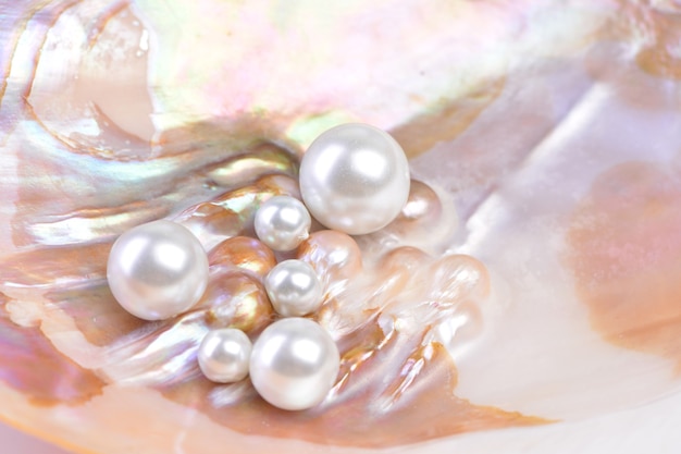 Premium Photo | Natural pearls inside the oyster shell