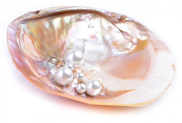 Premium Photo | Natural pearls inside the oyster shell