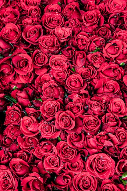 自然の赤いバラのテクスチャ背景 プレミアム写真