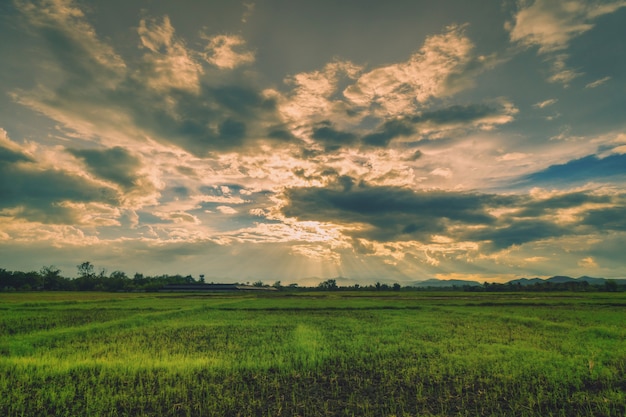 Premium Photo | Natural scene sky clouds and field agricultural sunset