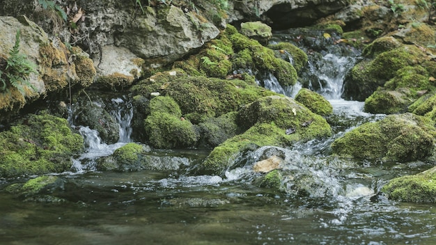 premium-photo-the-natural-spring-water-from-the-mountains