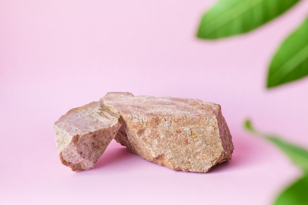 Download Natural stones green leaves on a pastel pink background, space for product branding mockup ...