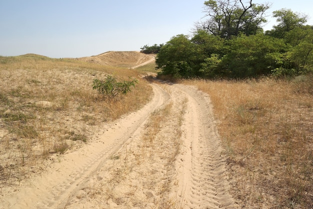 Premium Photo | Nature landscape with sand