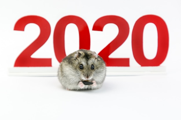 2020 year of the mouse disney