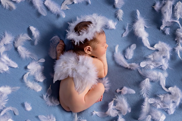 baby wings costume