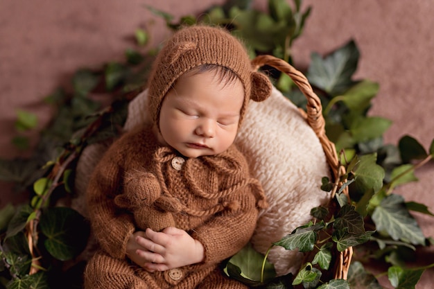 newborn bear outfit