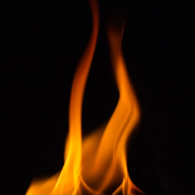 Premium Photo | A nice fire in a fire place