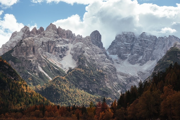 Premium Photo | Nice landscape of the beautiful mountains and trees ...